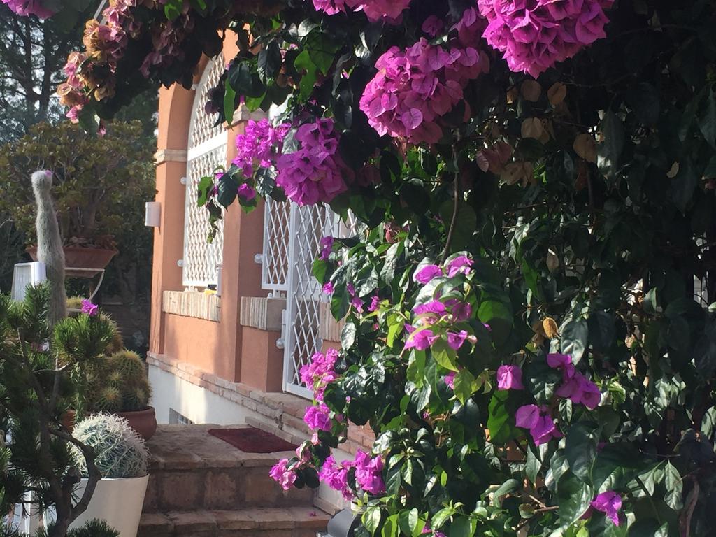 Villa Silvio Civitanova Alta Habitación foto